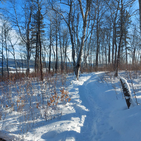 Activités plein air hiver